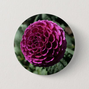 Purple Dahlia Button