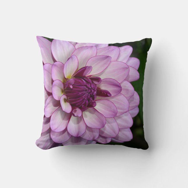 Purple dahlia flower blossoms throw pillow (Front)