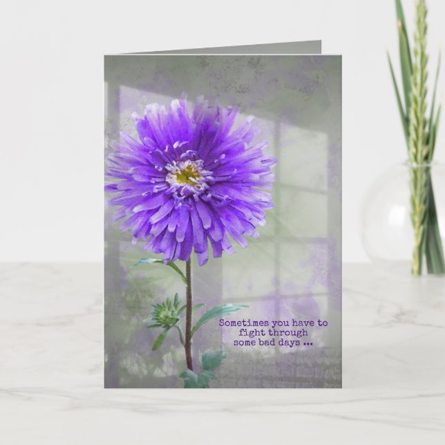 Purple Dahlia In Window Shadow Card (Front)