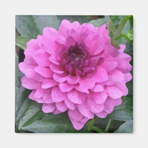 Purple dahlia magnet