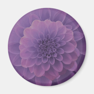 Purple Dahlia Magnet