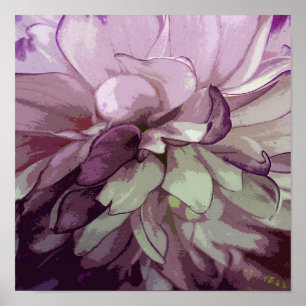 Purple Dahlia Poster