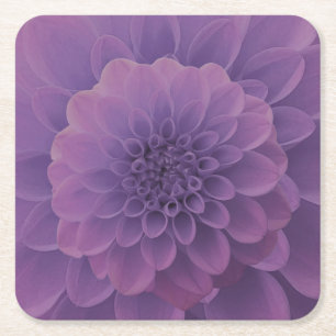 Purple Dahlia Square Paper Coaster