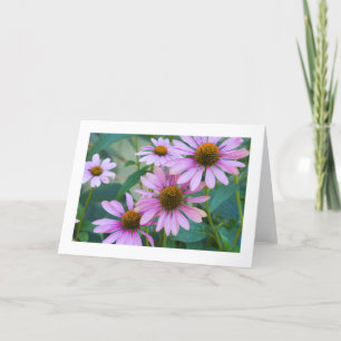 Purple Daisies # 248 Card