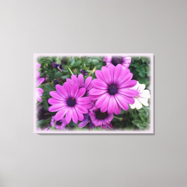 Purple daisies canvas print (Front)