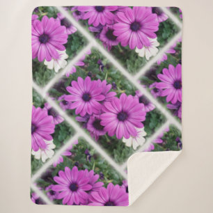 Purple daisies sherpa blanket