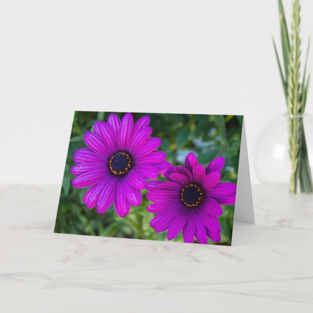 Purple Daisy Card - Blank Inside (Front)