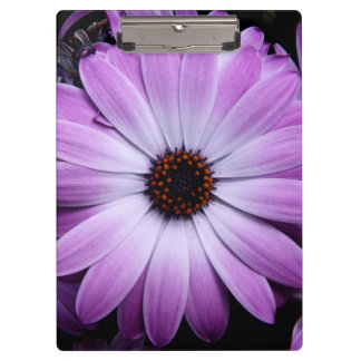 Purple Daisy Clipboard