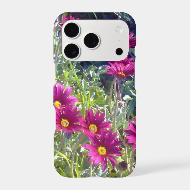 Purple Daisy Field,   (Back)