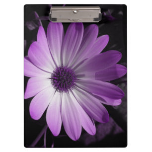 Purple Daisy Flower Clipboard