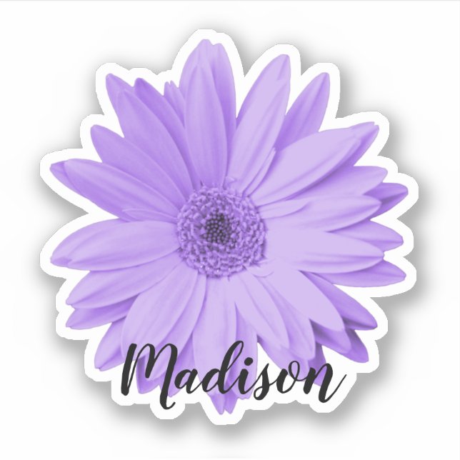 Purple Daisy Flower Name (Front)