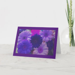 Purple Daisy Flowers Photo Greeting or Note Cards