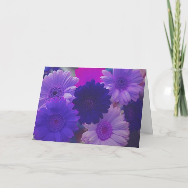 Purple Daisy Flowers Photo Note or Greeting Card (Front)