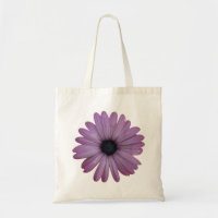 Purple Daisy Like Flower Osteospermum ecklonis