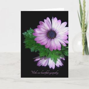 purple daisy reflection on mirror sympathy card