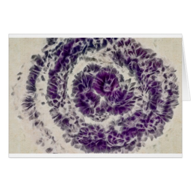 Purple Daisy Swirl (Front Horizontal)
