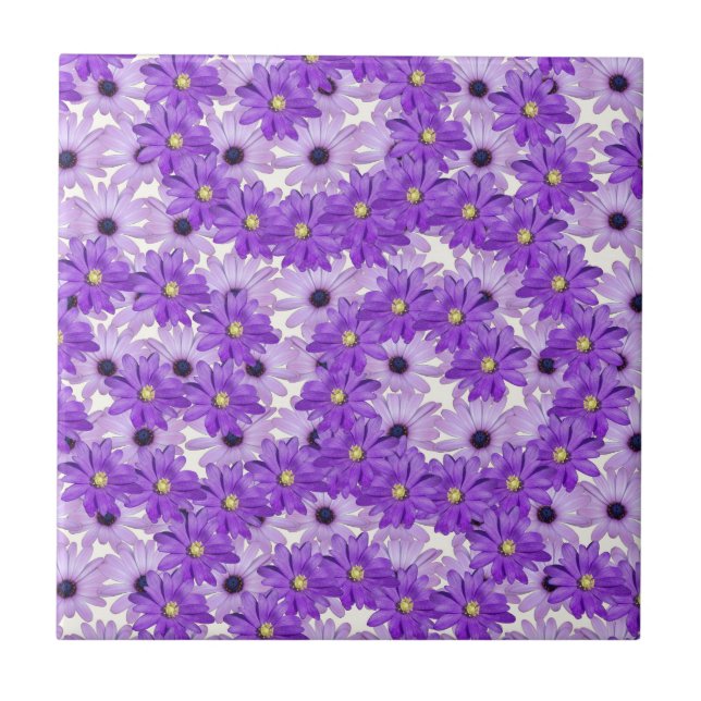 Purple Daisy Swirls Tile (Front)