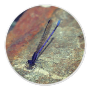Purple Damselfly Posing On Rock Close Up  Ceramic Knob