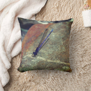 Purple Damselfly Posing On Rock Close Up Cushion