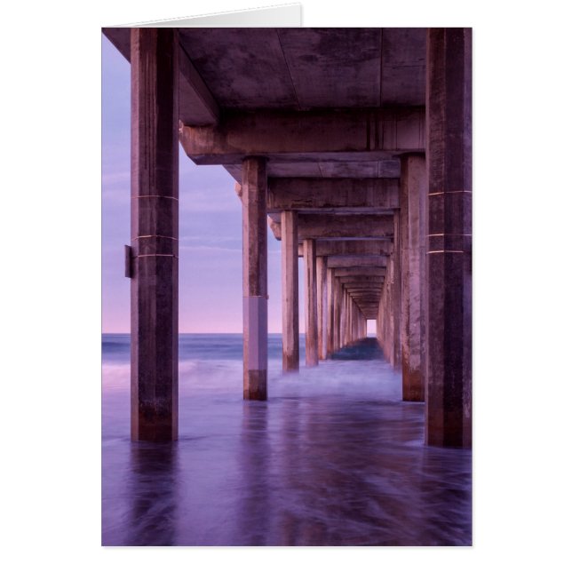 Purple Dawn At Scripps Pier (Front)
