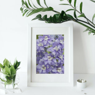 Purple Delphinium Blooms Floral Photo Print