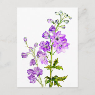 Purple delphiniums in watercolor postcard