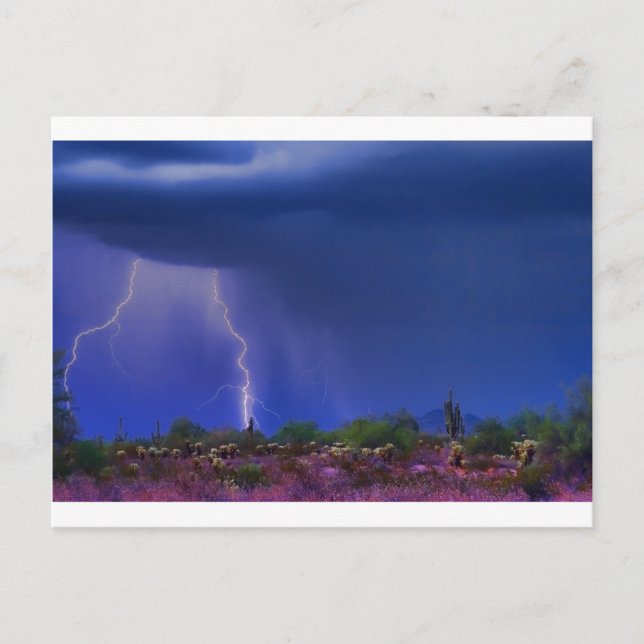 Purple Desert Storm Postcard (Front)