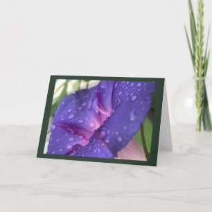 Purple Dewdrop Morning Glory Blank Card