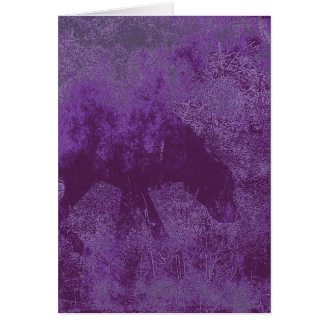 Purple Dog (Front)