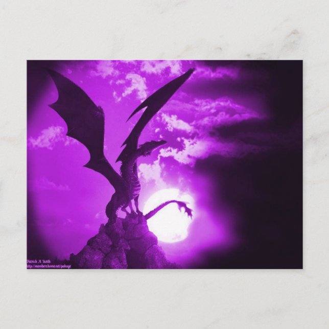 Purple dragon 2 postcard (Front)