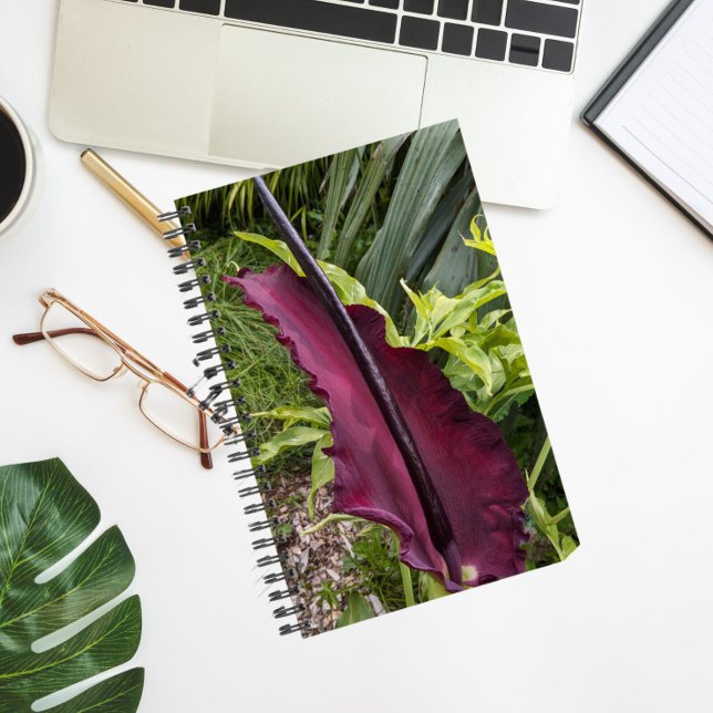 Purple Dragon Lily Bloom Botanical Notebook (In Situ)