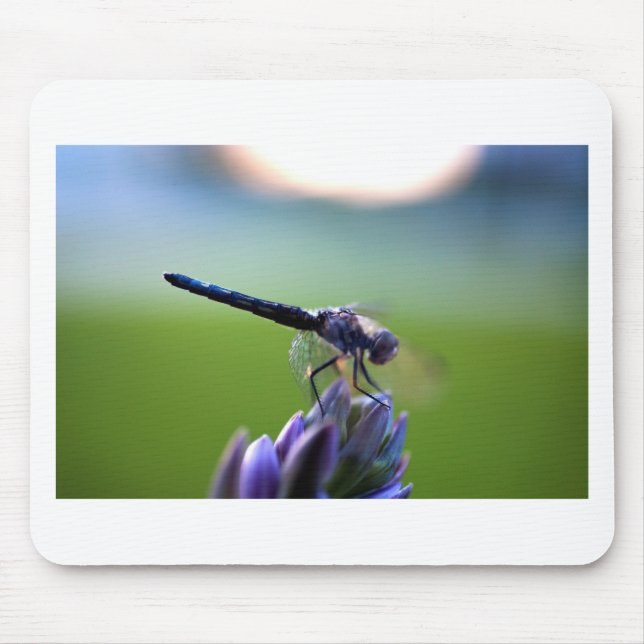 Purple Dragonfly Mouse Pad (Front)