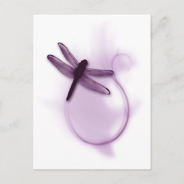 Purple Dragonfly Postcard (Front)