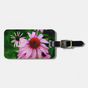 purple echinacea flower closeup tag
