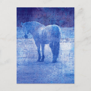 Purple Equine Postcard