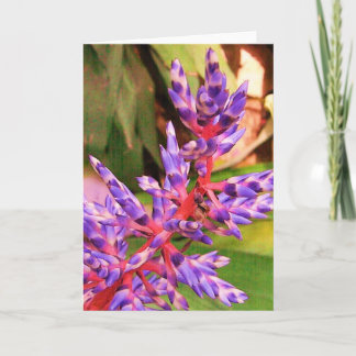 Purple Exotic Blossom Plant Greeting Card