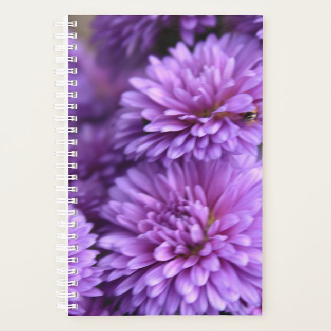Purple Fall Mum Petal Photo Planner (Front)
