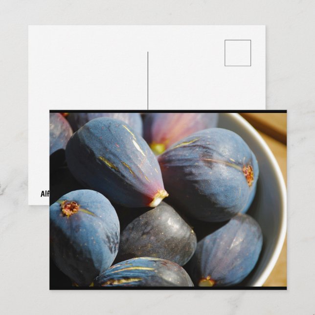 Purple Fig Fruit in Bowl Postcard (Front/Back)