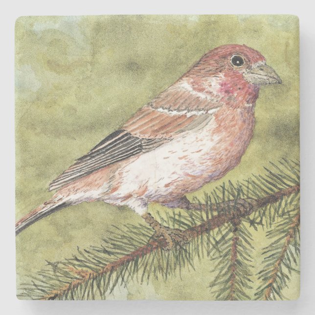 Purple Finch Coaster (Front)