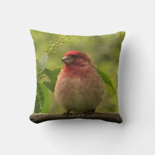 Purple Finch Cushion