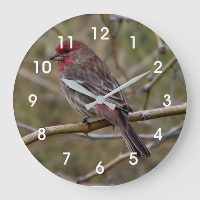 Purple Finch Large Clock (Front)