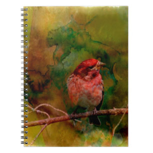 Purple Finch Notebook