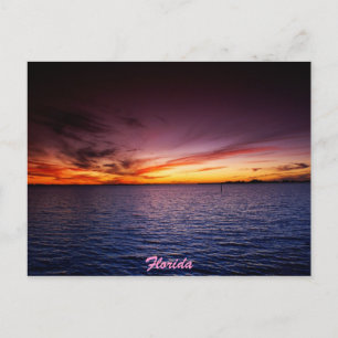 Purple Fire Postcard