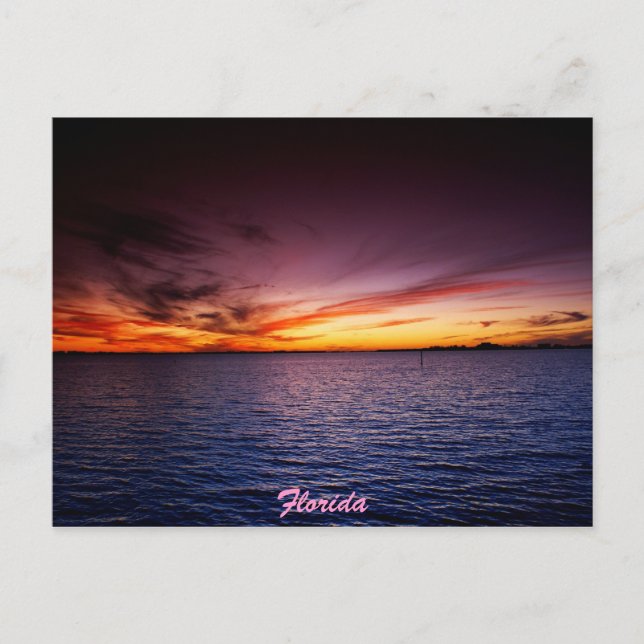 Purple Fire Postcard (Front)