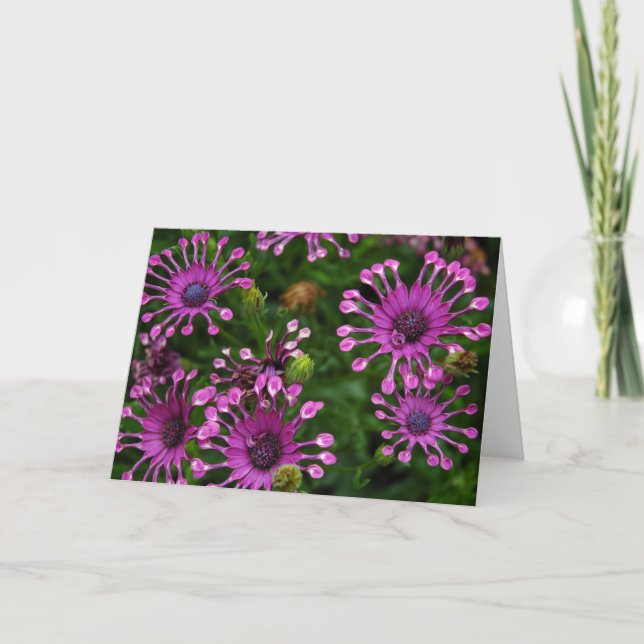 Purple Firework Flowers Card (Front)