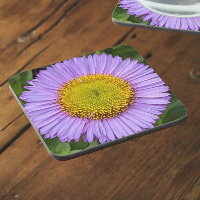 Purple Fleabane Daisy Floral Coaster (In Situ)