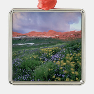 Purple Fleabane (erigeron peregrinus) and Yellow Metal Tree Decoration