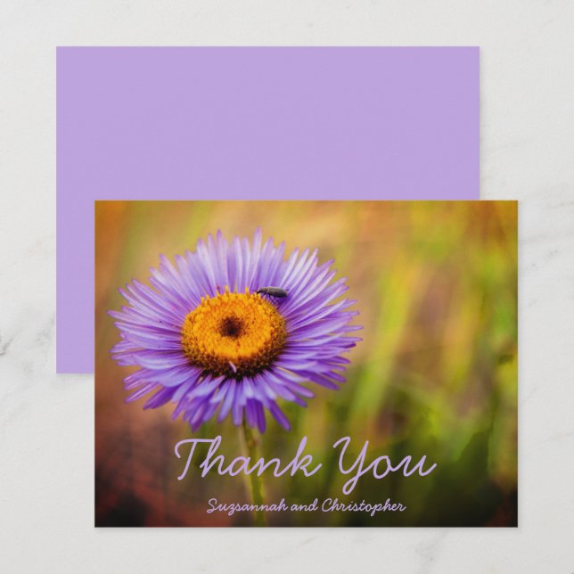 Purple Fleabane Flower & Bug Personalised Postcard (Front/Back)
