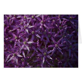 Purple Floral Bloom Blank Card