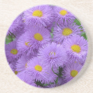 Purple Floral Coaster